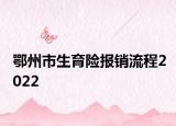 鄂州市生育险报销流程2022
