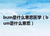 bum是什么意思医学（bum是什么意思）