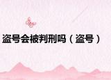盗号会被判刑吗（盗号）