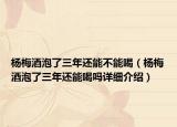 杨梅酒泡了三年还能不能喝（杨梅酒泡了三年还能喝吗详细介绍）