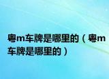 粤m车牌是哪里的（粤m车牌是哪里的）