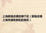 上海新场古镇在哪个区（新场古镇 上海市浦东新区的景区）