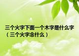 三个火字下面一个木字是什么字（三个火字念什么）