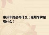 惠州车牌是粤什么（惠州车牌是粤什么）