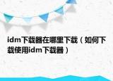 idm下载器在哪里下载（如何下载使用idm下载器）