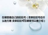 在哪里看自己的旺旺号（卖家旺旺号在什么地方看 卖家旺旺号在哪里可以看介绍）