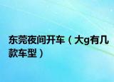 东莞夜间开车（大g有几款车型）