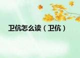 卫伉怎么读（卫伉）