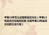 苹果12咋怎么设置电量百分比（苹果12电量百分比如何设置 设置苹果12电量百分比的方法介绍）