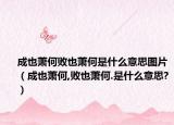 成也萧何败也萧何是什么意思图片（成也萧何,败也萧何.是什么意思?）