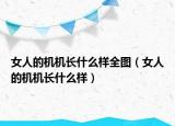 女人的机机长什么样全图（女人的机机长什么样）