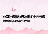 公司社保缴纳标准是多少养老保险缴费基数怎么计算