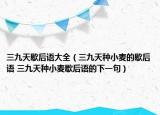 三九天歇后语大全（三九天种小麦的歇后语 三九天种小麦歇后语的下一句）