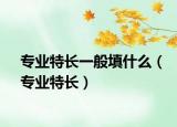 专业特长一般填什么（专业特长）