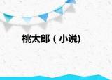 桃太郎（小说)