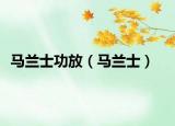 马兰士功放（马兰士）