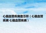 心脑血管疾病是怎样（心脑血管疾病 心脑血管疾病）