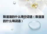酸溜溜的什么填空词语（酸溜溜的什么填词语）