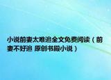 小说前妻太难追全文免费阅读（前妻不好追 原创书殿小说）