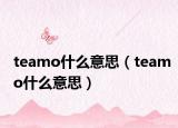 teamo什么意思（teamo什么意思）