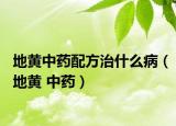 地黄中药配方治什么病（地黄 中药）