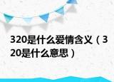 320是什么爱情含义（320是什么意思）