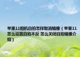 苹果11相机自拍怎样取消镜像（苹果11怎么设置自拍不反 怎么关闭自拍镜像介绍）
