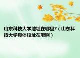 山东科技大学地址在哪里?（山东科技大学具体校址在哪啊）