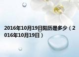 2016年10月19日阳历是多少（2016年10月19日）