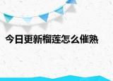 今日更新榴莲怎么催熟