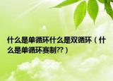 什么是单循环什么是双循环（什么是单循环赛制??）