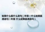 如果什么就什么造句二年级（什么如果就得造句二年级 什么如果就得造句）