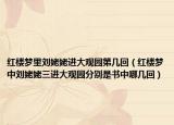 红楼梦里刘姥姥进大观园第几回（红楼梦中刘姥姥三进大观园分别是书中哪几回）