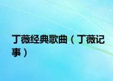 丁薇经典歌曲（丁薇记事）