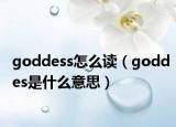 goddess怎么读（goddes是什么意思）