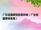 广东省国家税务局林晓（广东省国家税务局）