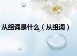 从组词是什么（从组词）