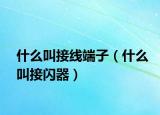 什么叫接线端子（什么叫接闪器）