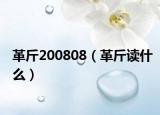 革斤200808（革斤读什么）