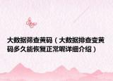 大数据筛查黄码（大数据排查变黄码多久能恢复正常呢详细介绍）