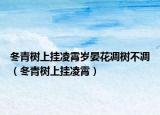 冬青树上挂凌霄岁晏花凋树不凋（冬青树上挂凌霄）