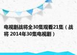 电视剧战将全30集观看21集（战将 2014年30集电视剧）