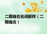 二期缝合名词解释（二期缝合）