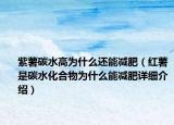紫薯碳水高为什么还能减肥（红薯是碳水化合物为什么能减肥详细介绍）