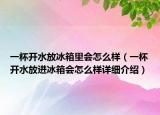 一杯开水放冰箱里会怎么样（一杯开水放进冰箱会怎么样详细介绍）