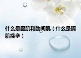 什么是膈肌和肋间肌（什么是膈肌痉挛）