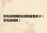 羽毛球球网的标准高度是多少（羽毛球球网）