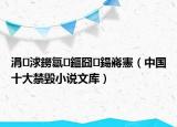 涓浗鐒氱鏂囧鍚嶈憲（中国十大禁毁小说文库）