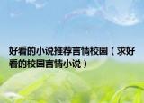 好看的小说推荐言情校园（求好看的校园言情小说）