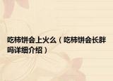 吃柿饼会上火么（吃柿饼会长胖吗详细介绍）